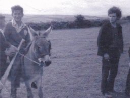 Playing Polo